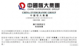 恒大最新爆料消息,揭秘债务危机背后的真相与应对策略