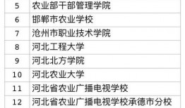 沧州生活爆料最新消息,最新动态速览，不容错过的本地资讯